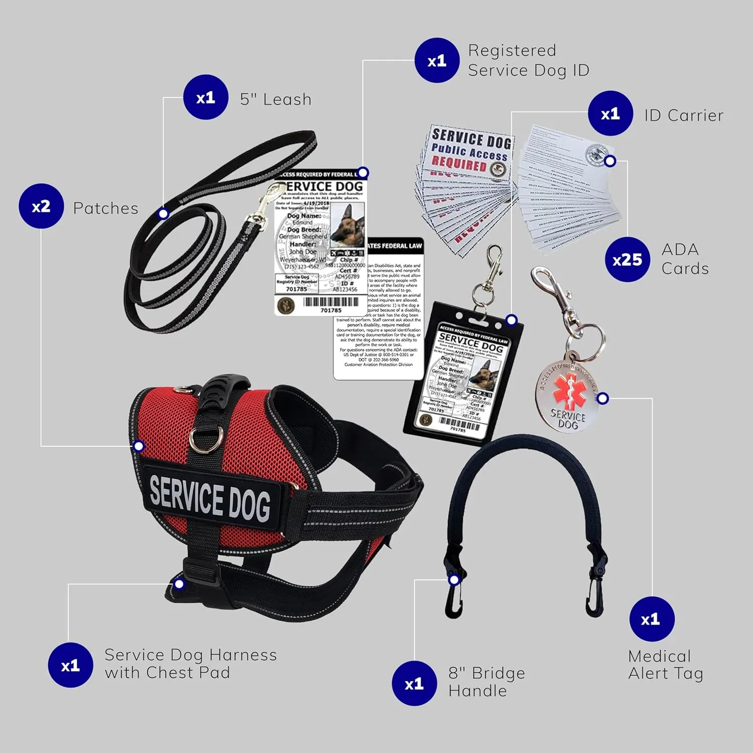 ActiveDogs.com 2XL Red Service Dog Harness Kit - No Pull Dog Vest, Handle, ID, ADA Cards, Medical Alert Keychain, Leash & Patches
