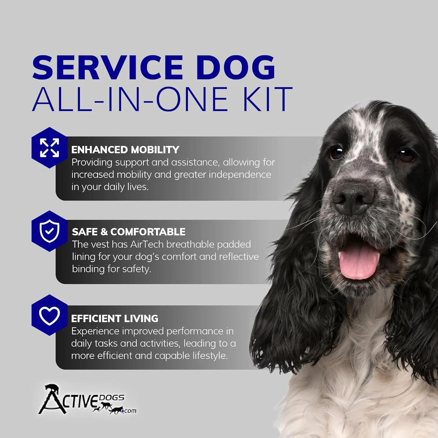 ActiveDogs.com 2XL Red Service Dog Harness Kit - No Pull Dog Vest, Handle, ID, ADA Cards, Medical Alert Keychain, Leash & Patches