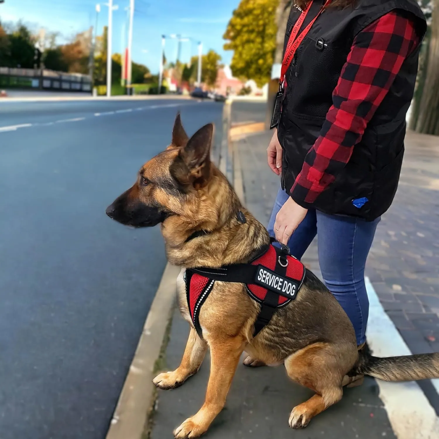 ActiveDogs.com 2XL Red Service Dog Harness Kit - No Pull Dog Vest, Handle, ID, ADA Cards, Medical Alert Keychain, Leash & Patches