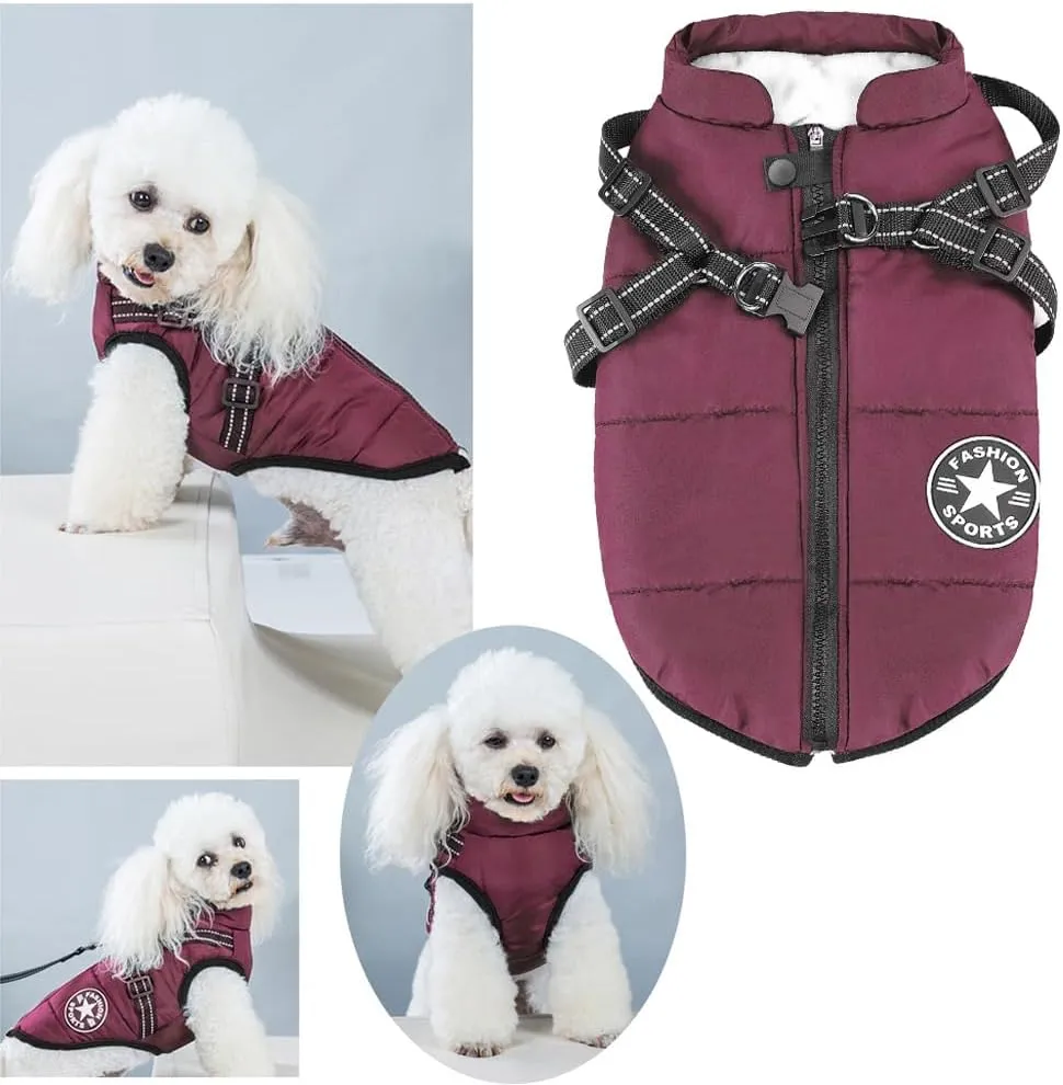 Aiboria Winter Dog Coat - Windproof, Waterproof, Fleece Jacket with Chest Strap - Purple S
