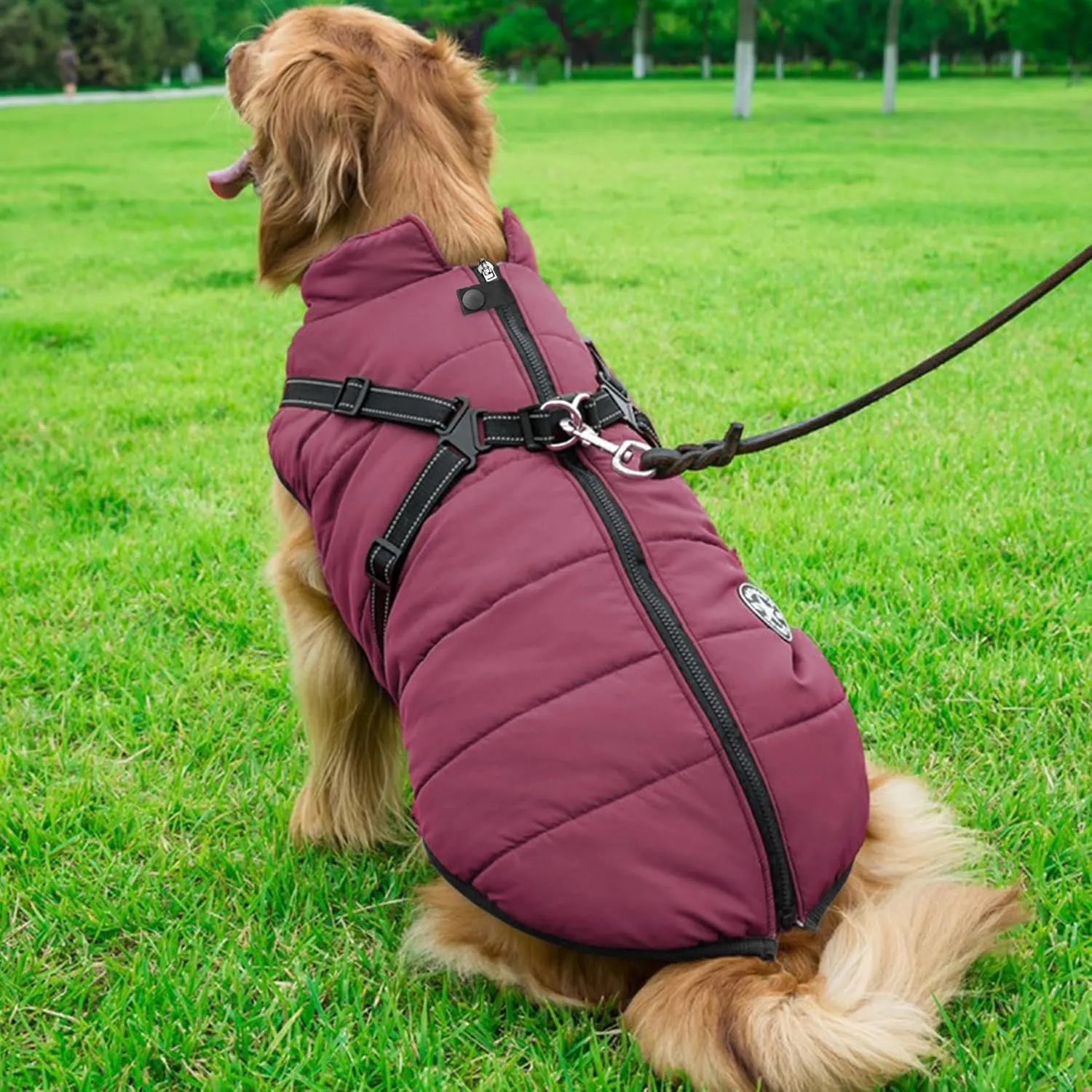 Aiboria Winter Dog Coat - Windproof, Waterproof, Fleece Jacket with Chest Strap - Purple S