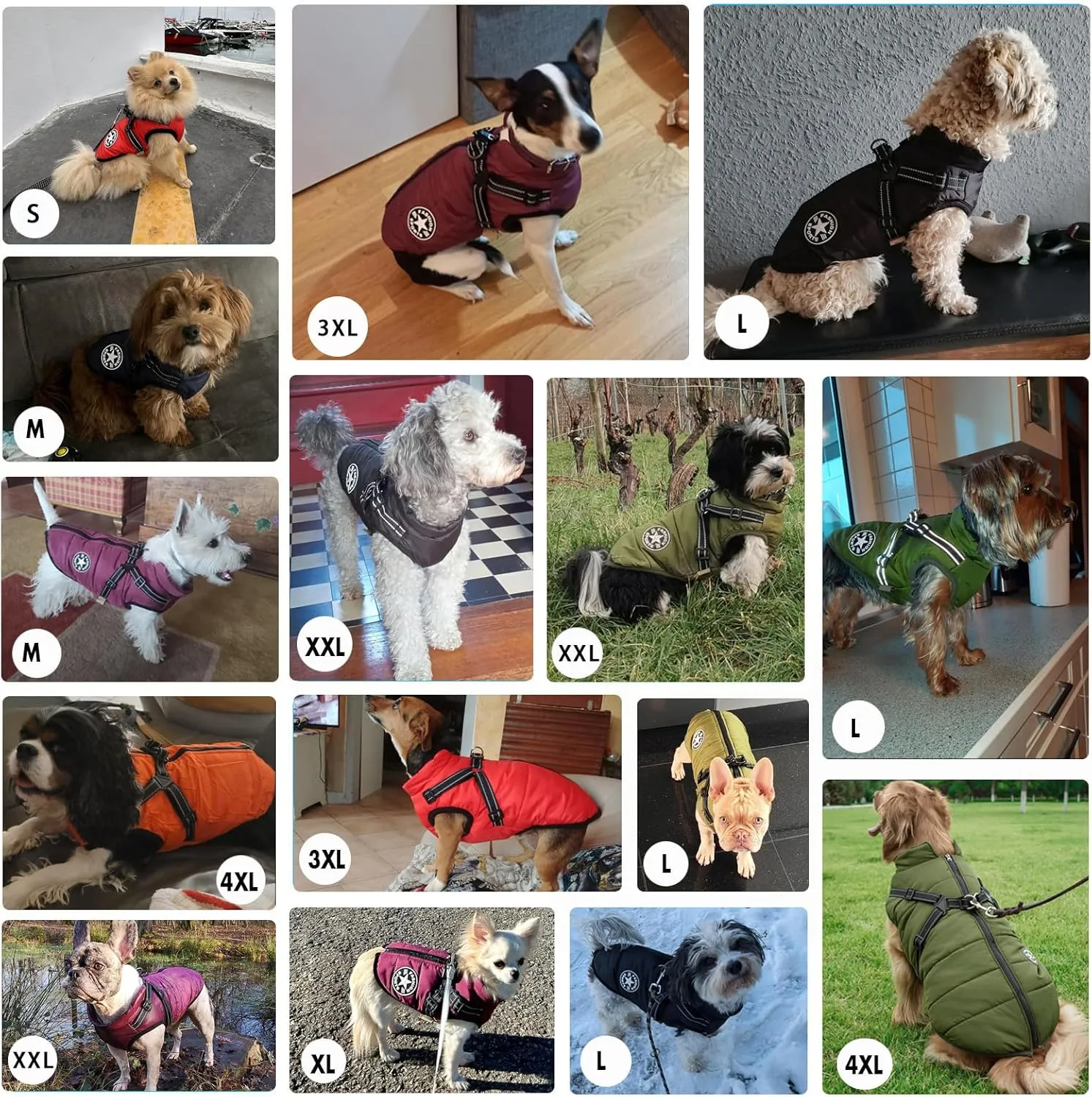 Aiboria Winter Dog Coat - Windproof, Waterproof, Fleece Jacket with Chest Strap - Purple S
