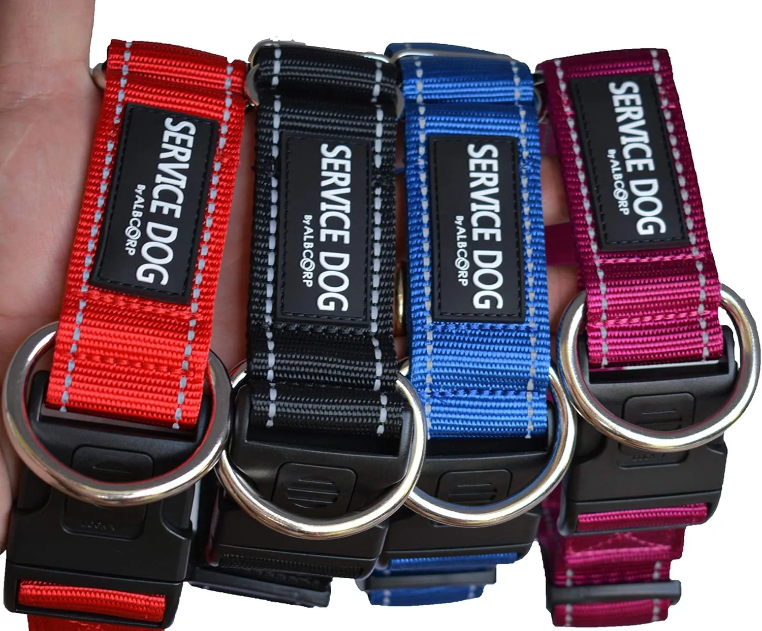 Albcorp    XS  XL (8.6  28.7 , 21.9  71.9 ),,,,XL,