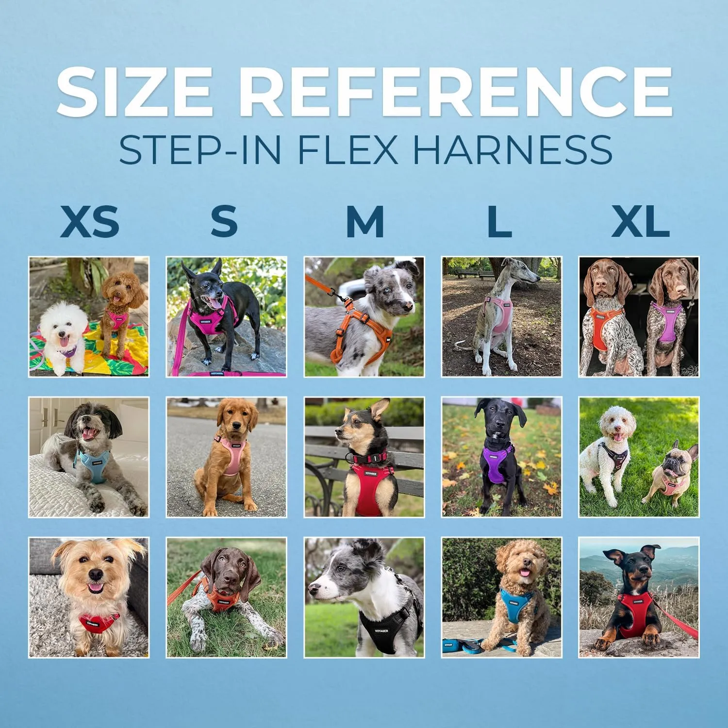 Best Pet Supplies Voyager Adjustable Dog Harness Leash Set with Reflective Stripes for Walking Heavy-Duty Full Body No Pull Vest with Leash D-Ring, Breathable All-Weather - Purple, L