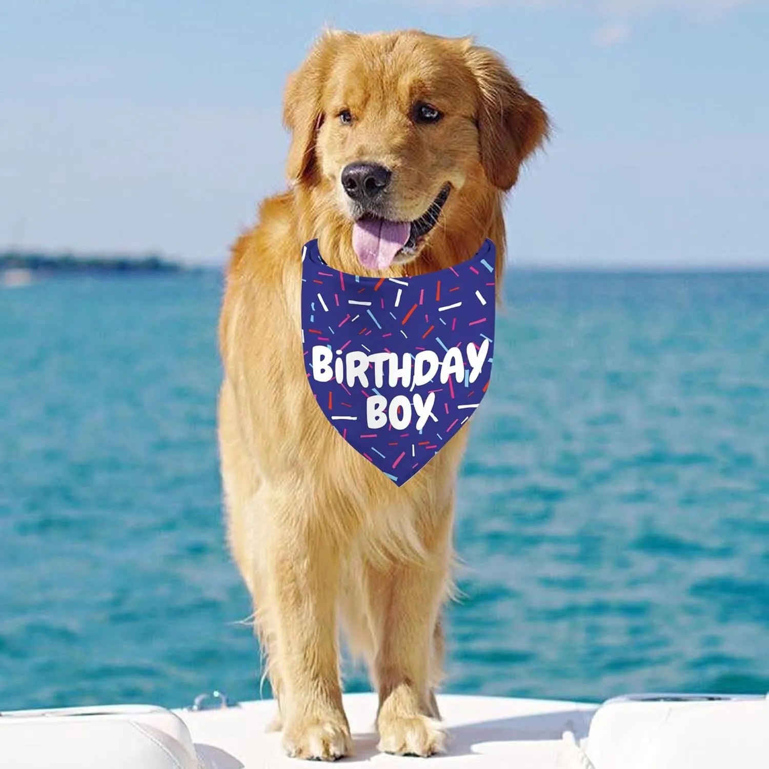 Birthday Boy Dog Bandanas 1 Pack, Blue Birthday Dog Scarfs for Boys, Pet Scarves for Boy HBD Bandanas for Small Medium Large Dogs (Birthday Boy, One Size)