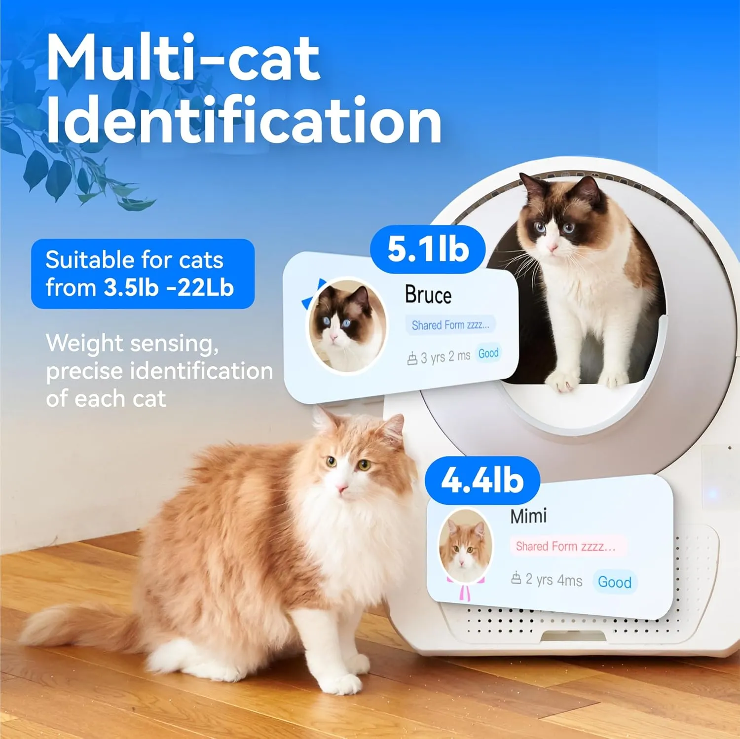 CATLINK Self Cleaning Cat Litter Box for Multiple Cats, Health Monitoring, Automatic Litter Box with APP, Triple Odor Control, Includes 60 Trash Bags, 65L Extra Large Robot (Luxury Pro-X)