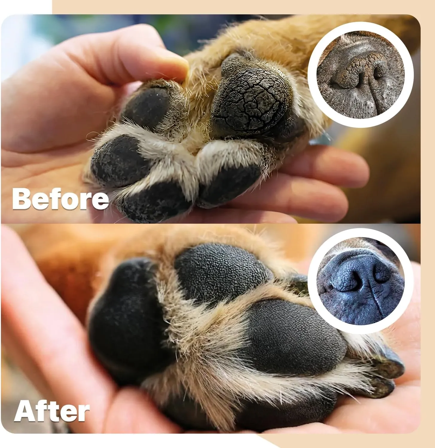 CHARLIE'S PAWS Paw Balm for Dog and Cat Paw Pad Balm Dog Nose Balm Cat Butter Paw Moisturizer Protect Dry Cracked Paw Foot Paw Elbows with 100% Natural Oil 3.5 Oz (Aloe & Vanilla)