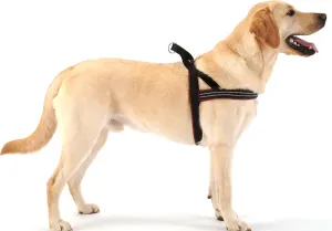 ComfortFlex Sport Dog Harness - Made in The USA - Fully Padded, Reflective, Adjustable, Lightweight No-Choke, No-Pull, Non-Chafing Design for Active Dogs, Enhanced Control, Medium, Bordeaux
