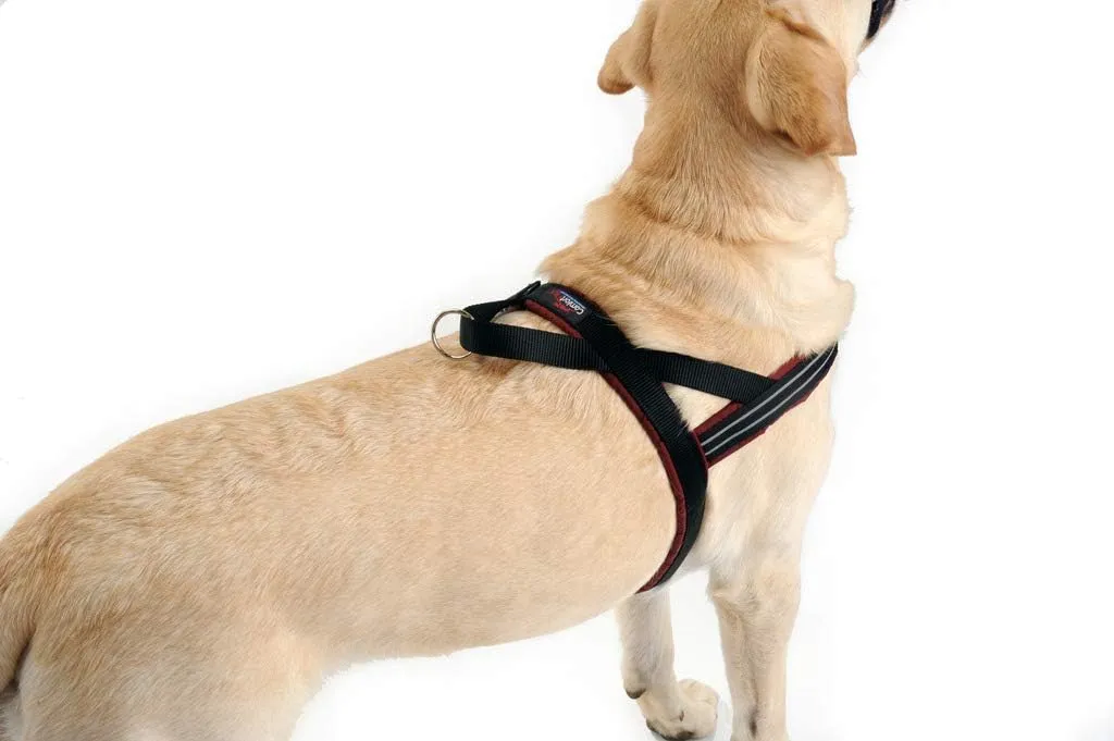 ComfortFlex Sport Dog Harness - Made in The USA - Fully Padded, Reflective, Adjustable, Lightweight No-Choke, No-Pull, Non-Chafing Design for Active Dogs, Enhanced Control, Medium, Bordeaux