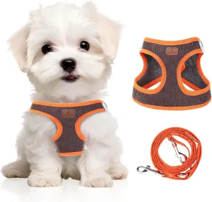 Dog Harness with Multifunction Dog Leash,No Pull Reflective Step-in Harness for Soft Adjustable No Choke Escape Proof,Easy Walk Dog Harness for Puppy,Small Dogs (Orange&Dark Grey, XS)