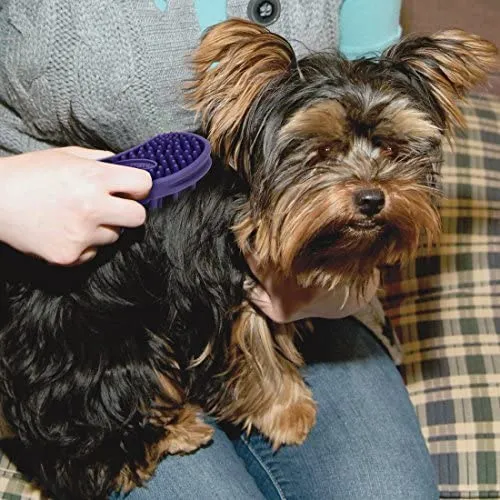 Dog Massager Brush - Lil'l Pals Dog Soft Tip Massager -  Coastal Pet Products
