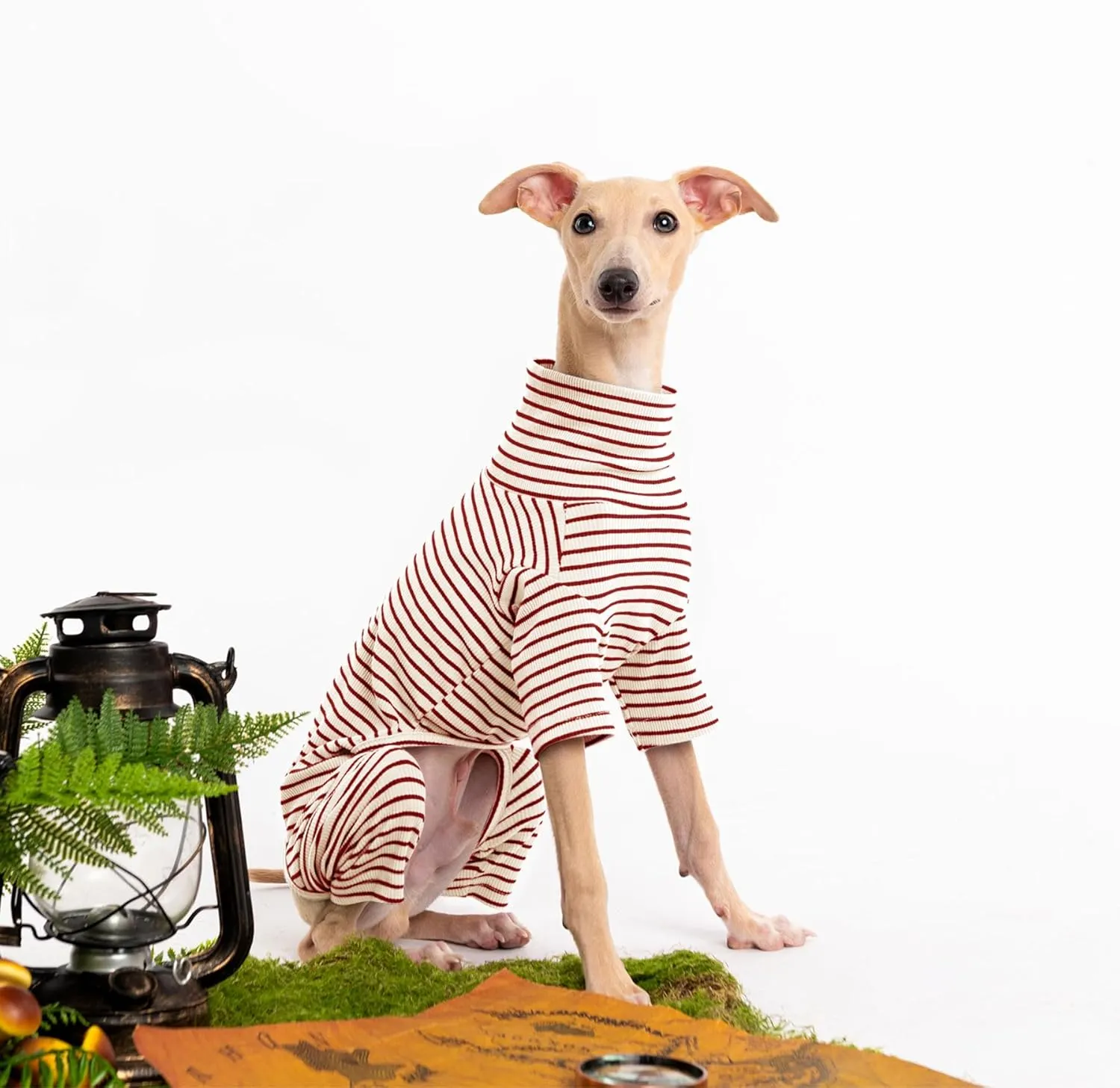 Dog Sweaters for Small Dogs Girls Boys, Striped Pet Sweaters for Fall Winter Dog Clothes, Turtleneck Pullover Knitwear for Small Medium Large Dogs