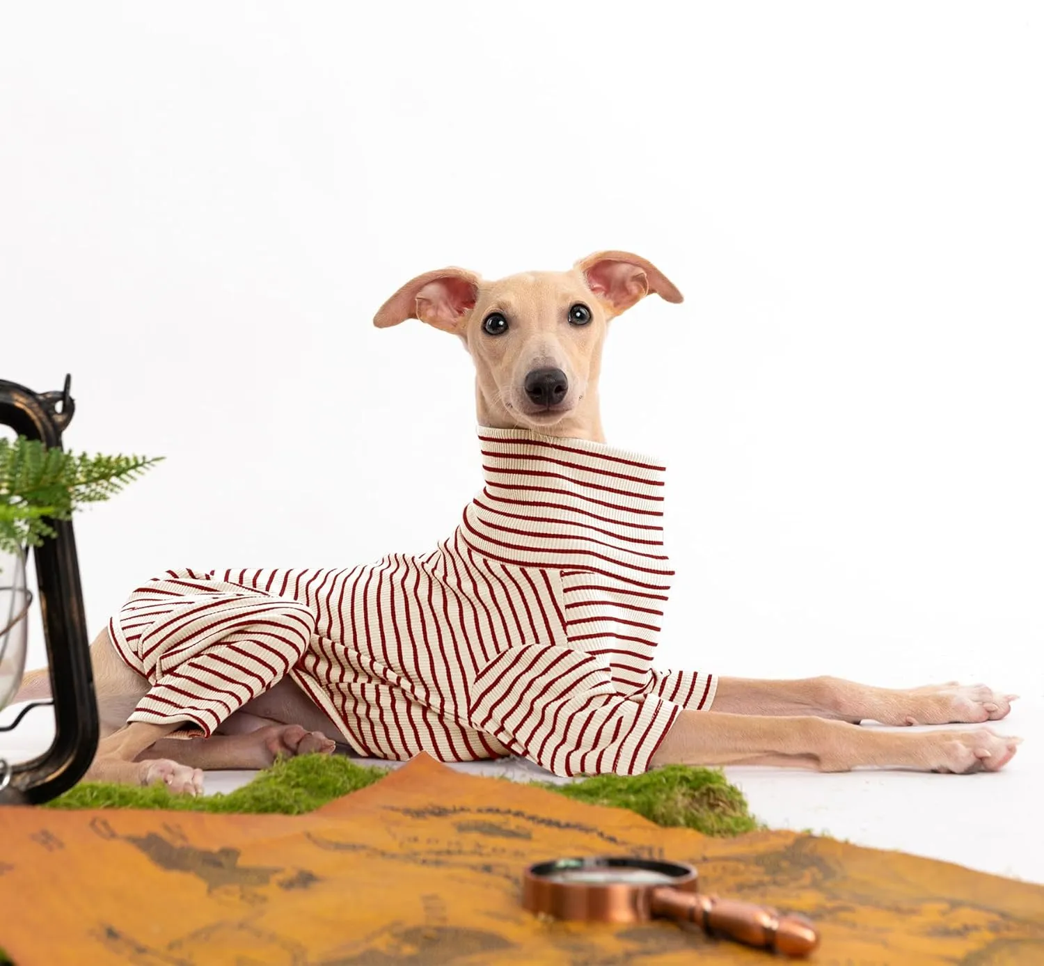 Dog Sweaters for Small Dogs Girls Boys, Striped Pet Sweaters for Fall Winter Dog Clothes, Turtleneck Pullover Knitwear for Small Medium Large Dogs