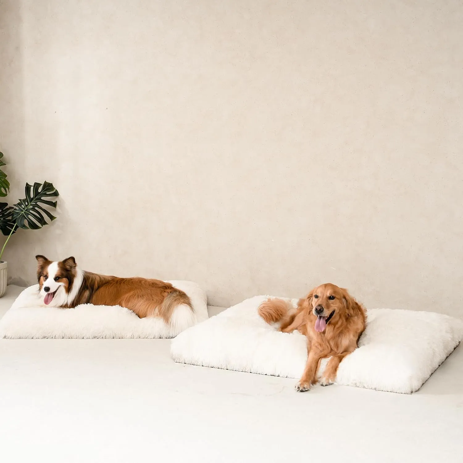 EHEYCIGA Fluffy Dog Crate Bed for Large Dogs, Plush Faux Fur Crate Pad, Calming Anti Anxiety Large Dog Bed, Washable Soft Warm Mat with Non-Slip Bottom, Beige