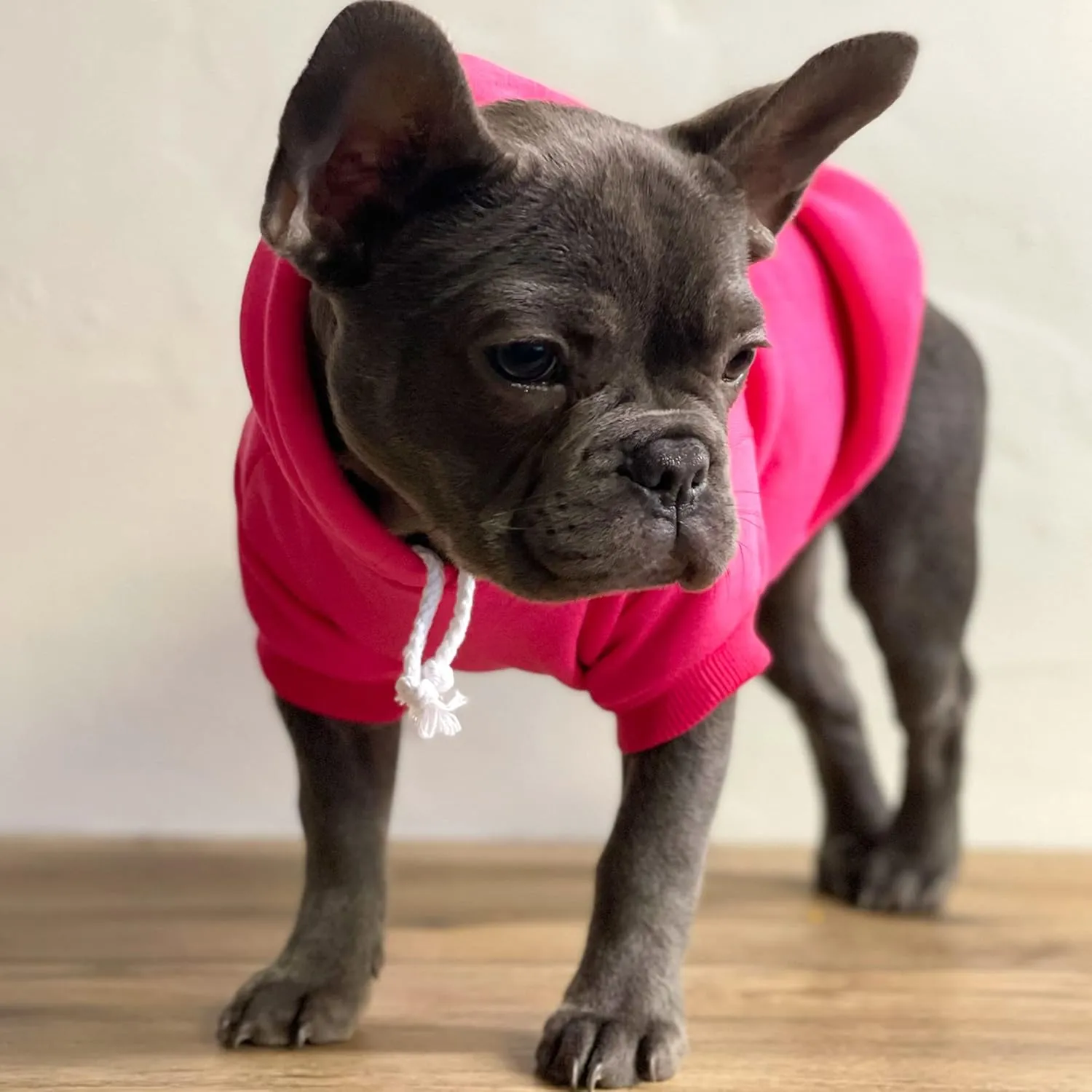 Juneteenth Dog Hoodie Fleece Lined Pullover Sweatshirt with Leash Hole (Hot Pink, X-Small 751)