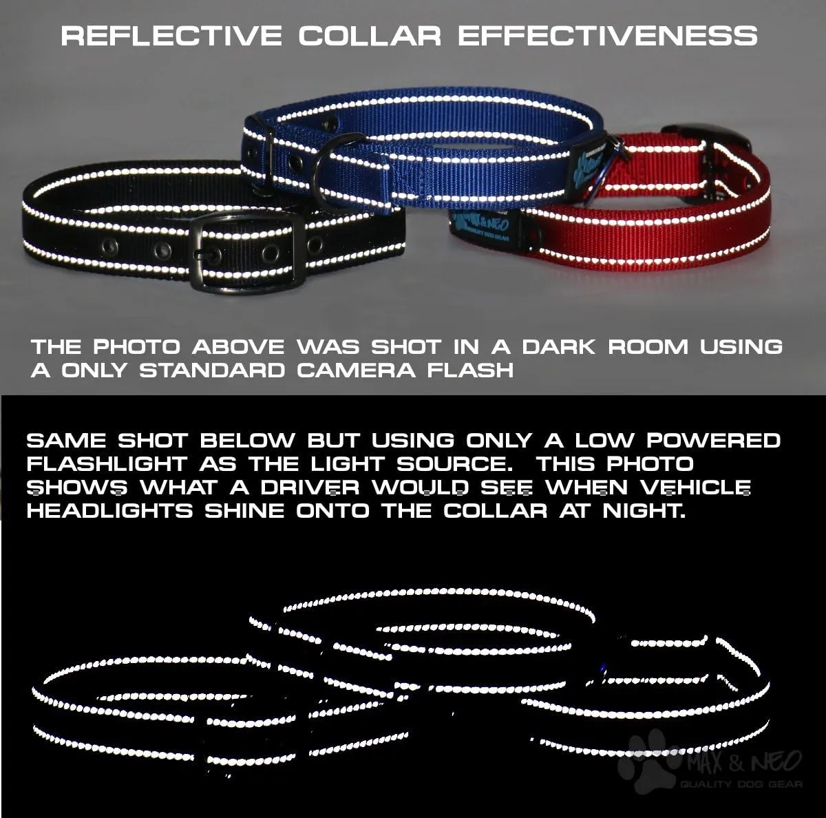 Max and Neo MAX Reflective Metal Buckle Dog Collar - We Donate a Collar to a Dog Rescue for Every Collar Sold (Small, RED)