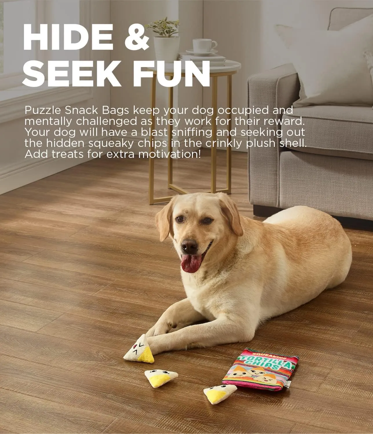 Outward Hound Snack Bag Tortilla Chips Puzzle Squeaky Dog Toys