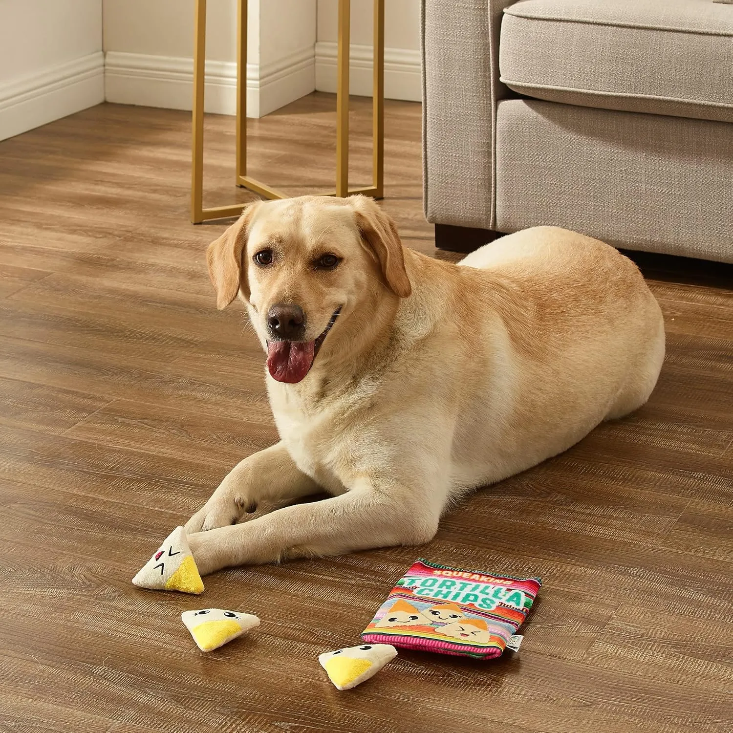 Outward Hound Snack Bag Tortilla Chips Puzzle Squeaky Dog Toys