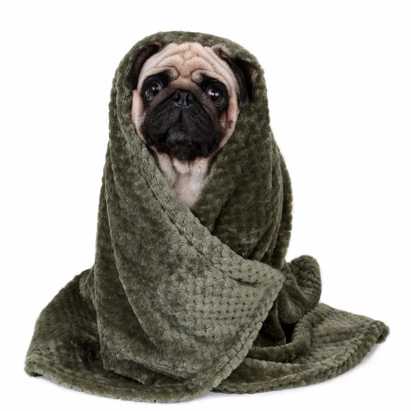 Pet Blanket