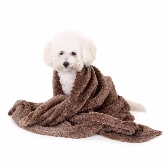 Pet Blanket
