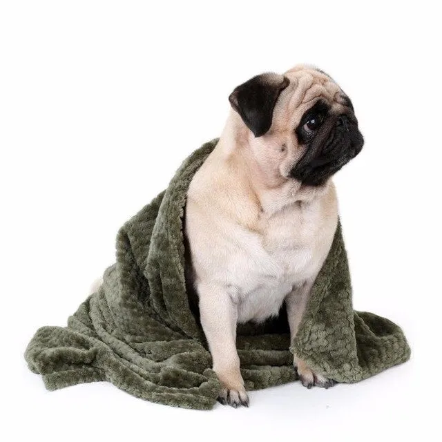 Pet Blanket