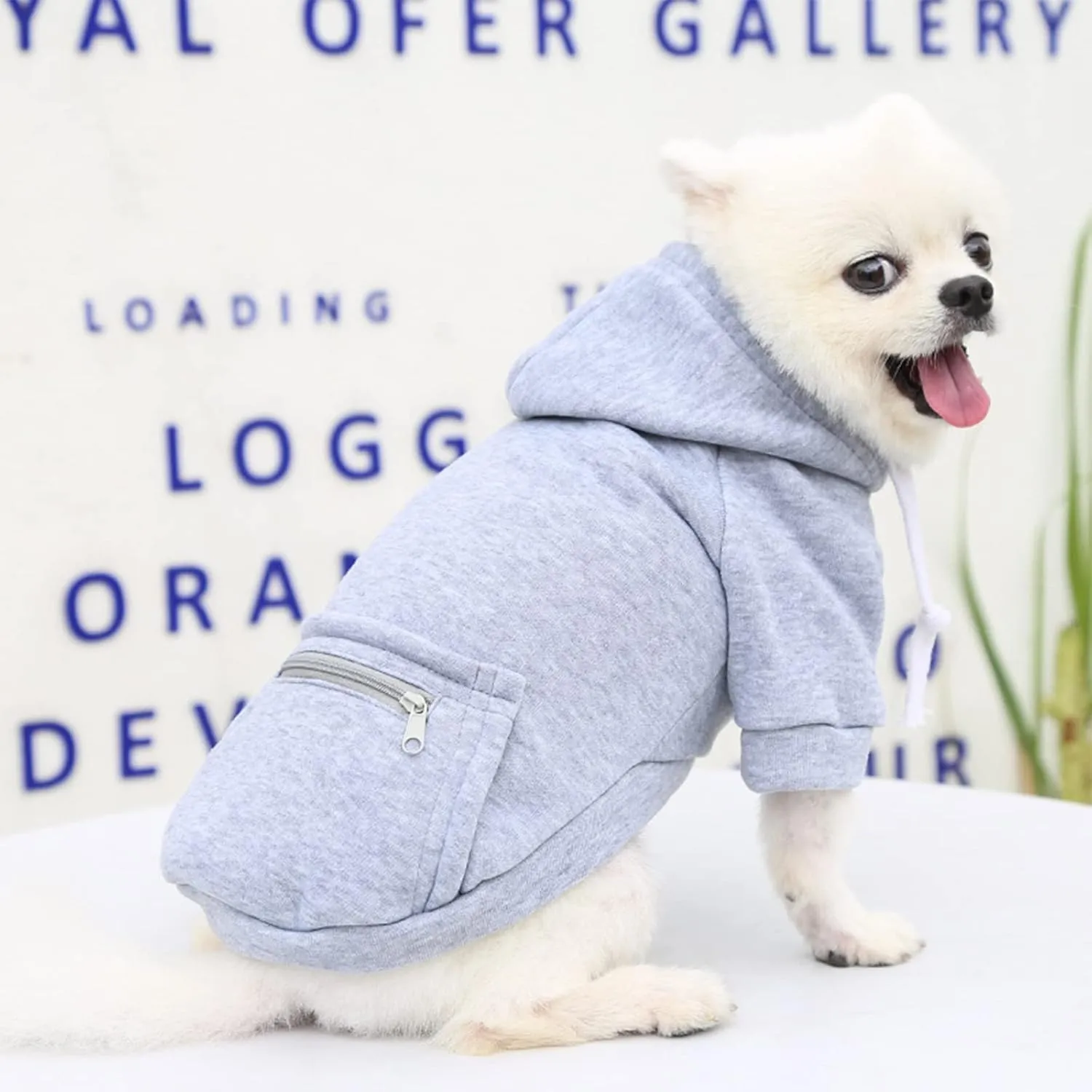 PETCARE Small Dog Sweater Hoodies Pet Grey Hooded Soft Fleece Sweatshirts with Pocket Fall Winter Puppy Cat Sweaters Warm Clothes for Small Dogs Shih Tzu Yorkies French Bulldog Outfits Costume