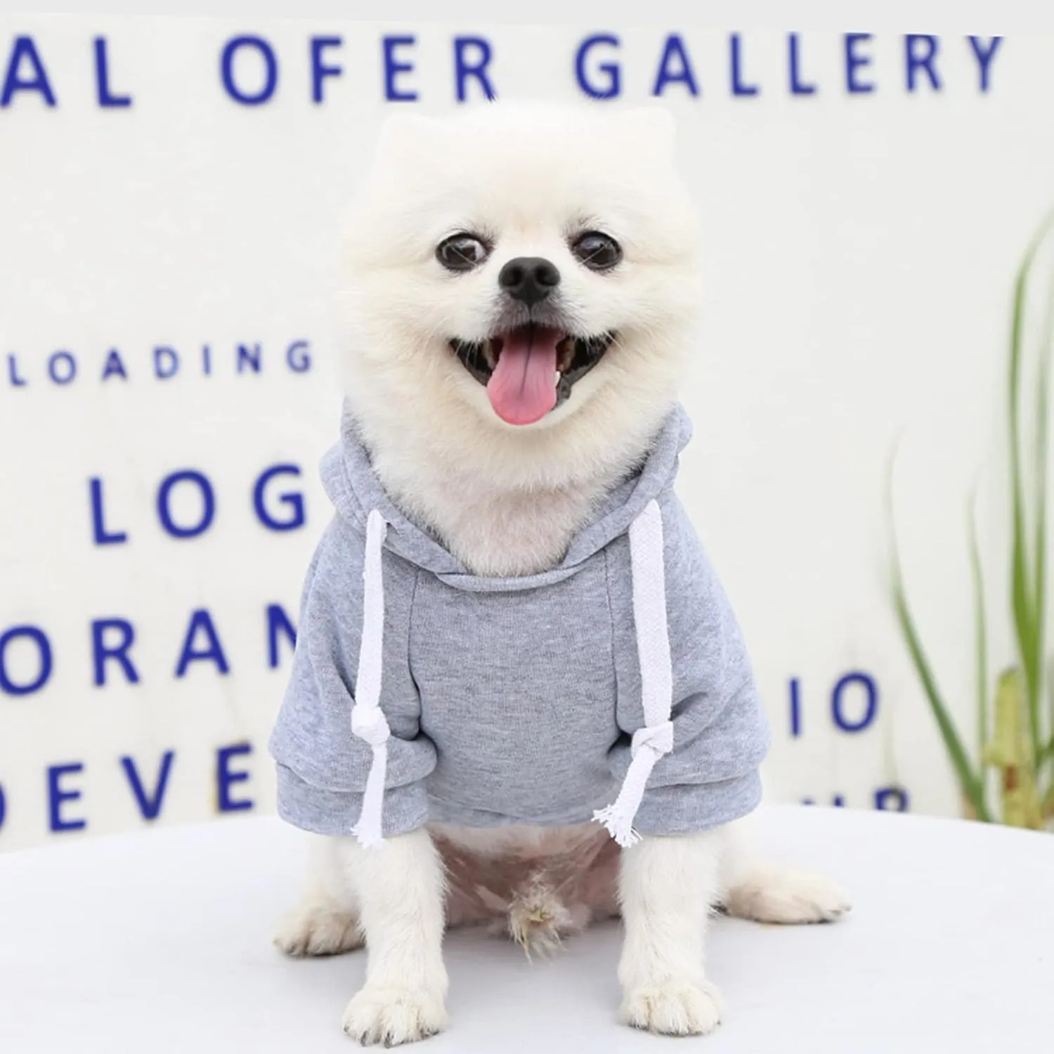 PETCARE Small Dog Sweater Hoodies Pet Grey Hooded Soft Fleece Sweatshirts with Pocket Fall Winter Puppy Cat Sweaters Warm Clothes for Small Dogs Shih Tzu Yorkies French Bulldog Outfits Costume