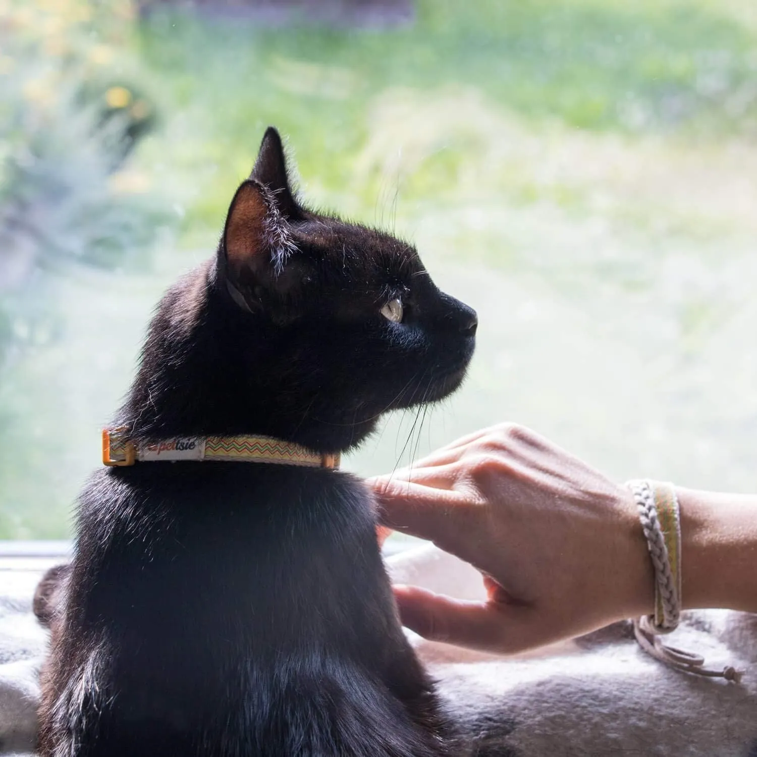 Pettsie Breakaway Kitten Collar & Matching Friendship Bracelet  Soft Cotton, Safe & Comfortable, Adjustable 5"-8", Yellow