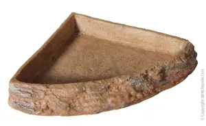 REPTILE CORNER BOWL XL