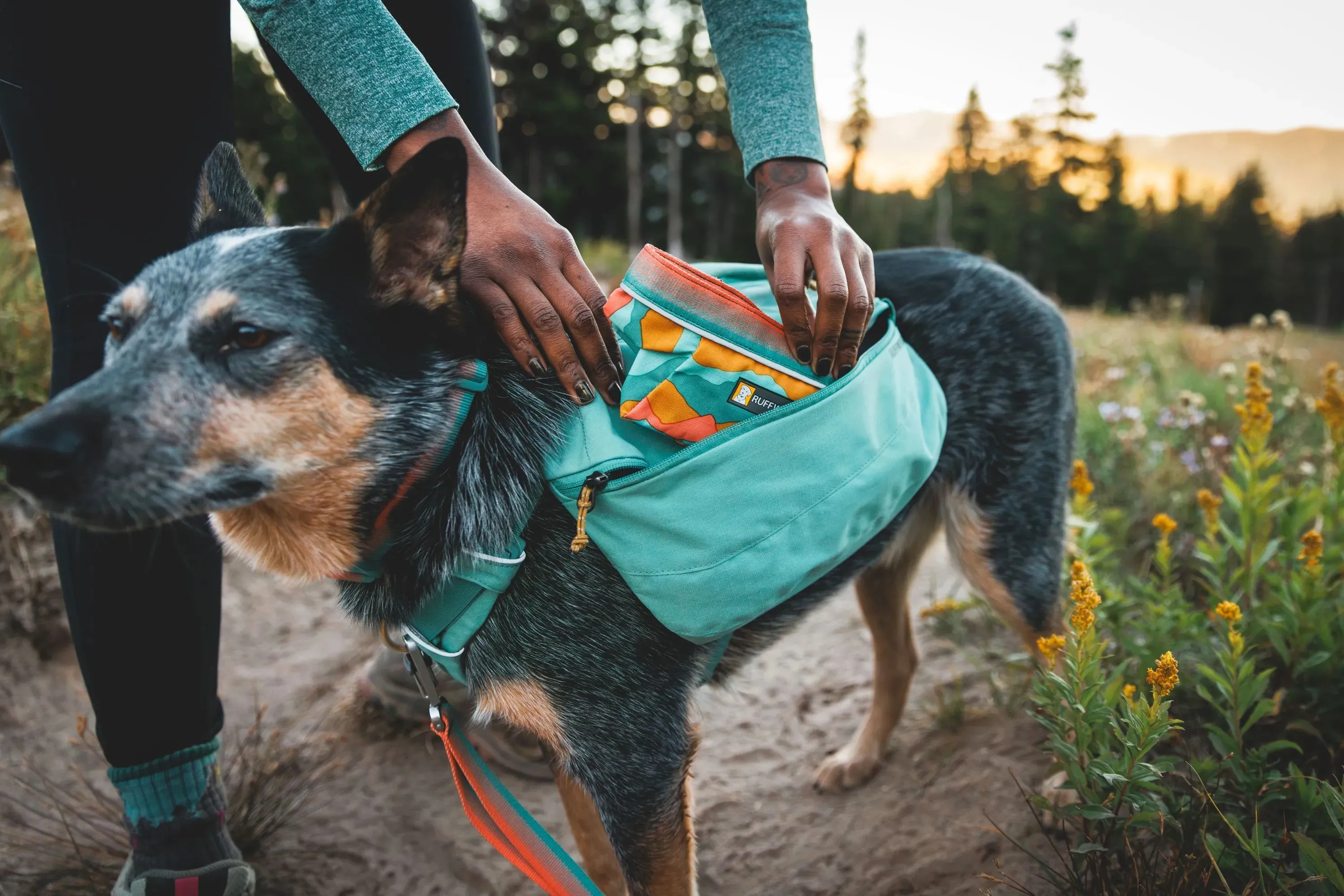 Ruffwear Quencher™ Collapsible Dog Food & Water Bowl (Moonlight Mountains)