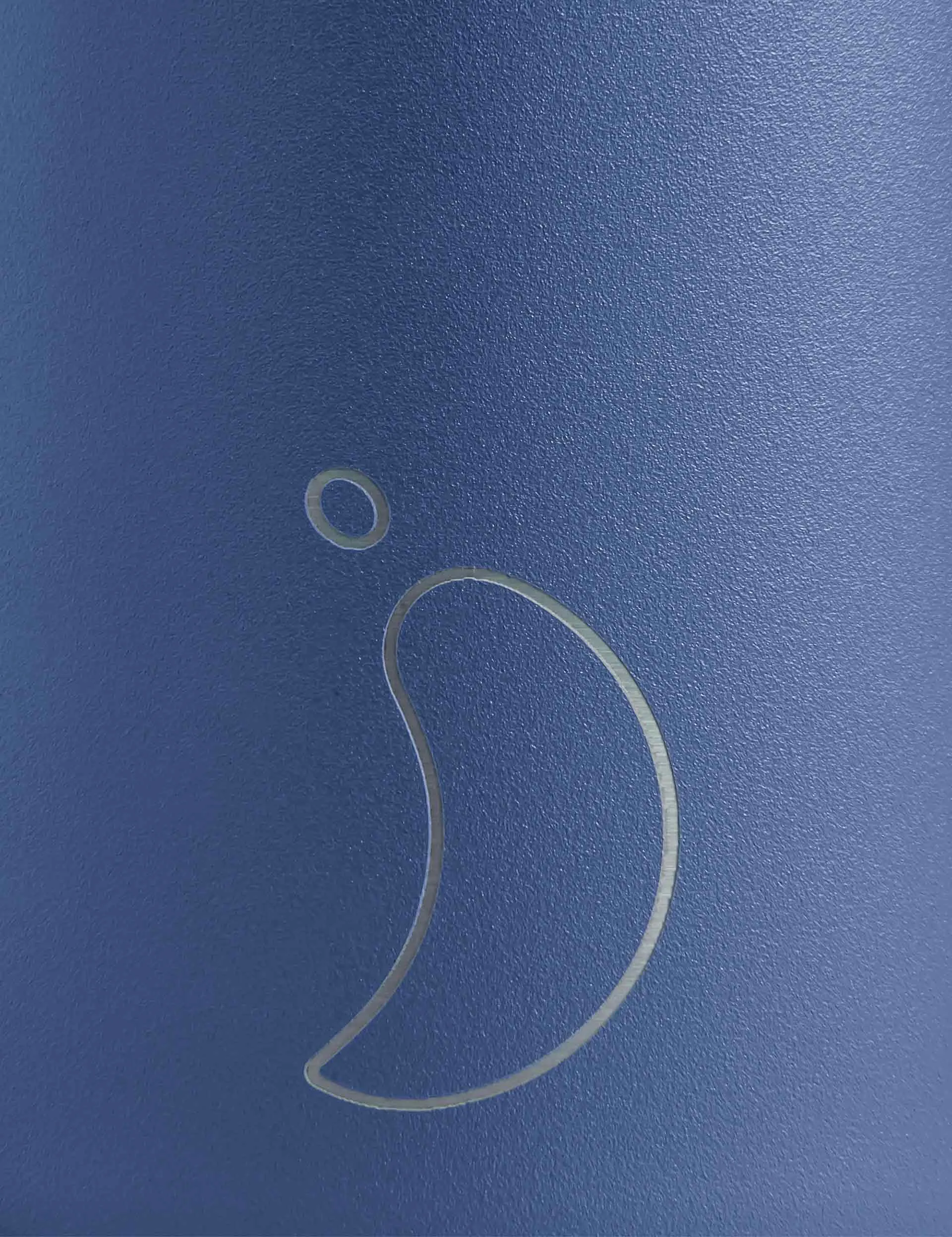 Series 2 Water Bottle 500ml - Whale