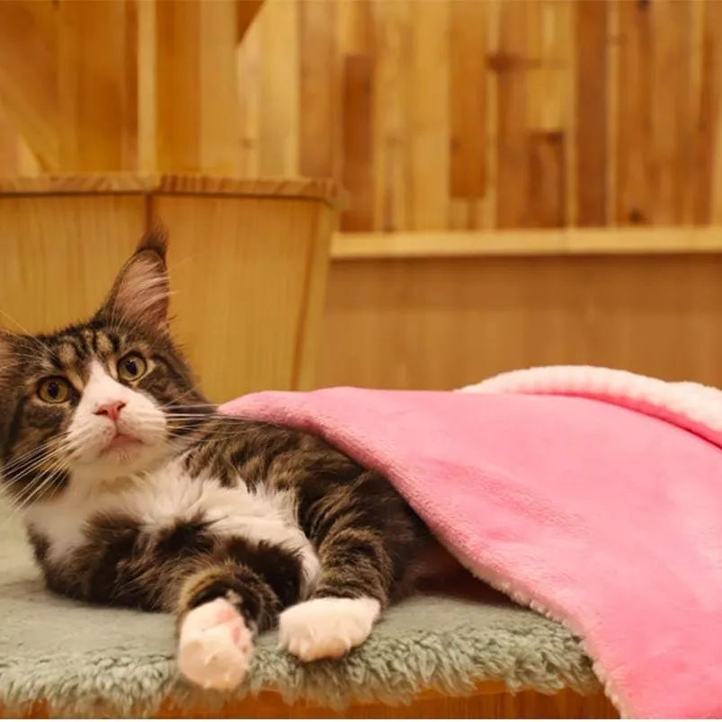 Soft & Warm Pet Throw Blanket