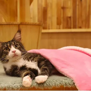 Soft & Warm Pet Throw Blanket
