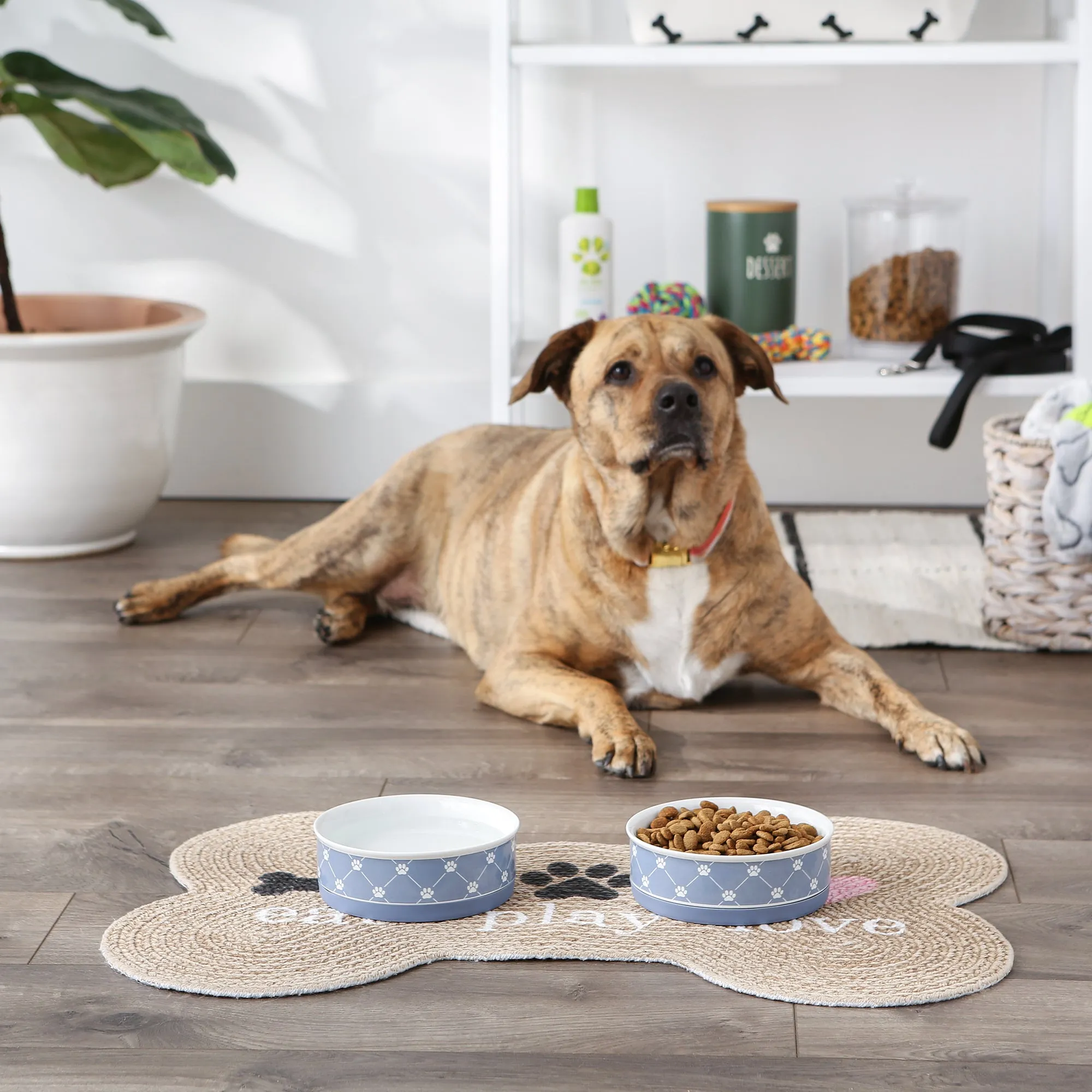 Stonewash Blue Trellis Paw Print Pet Bowl Set/2, Medium - 1.5 C. Capacity
