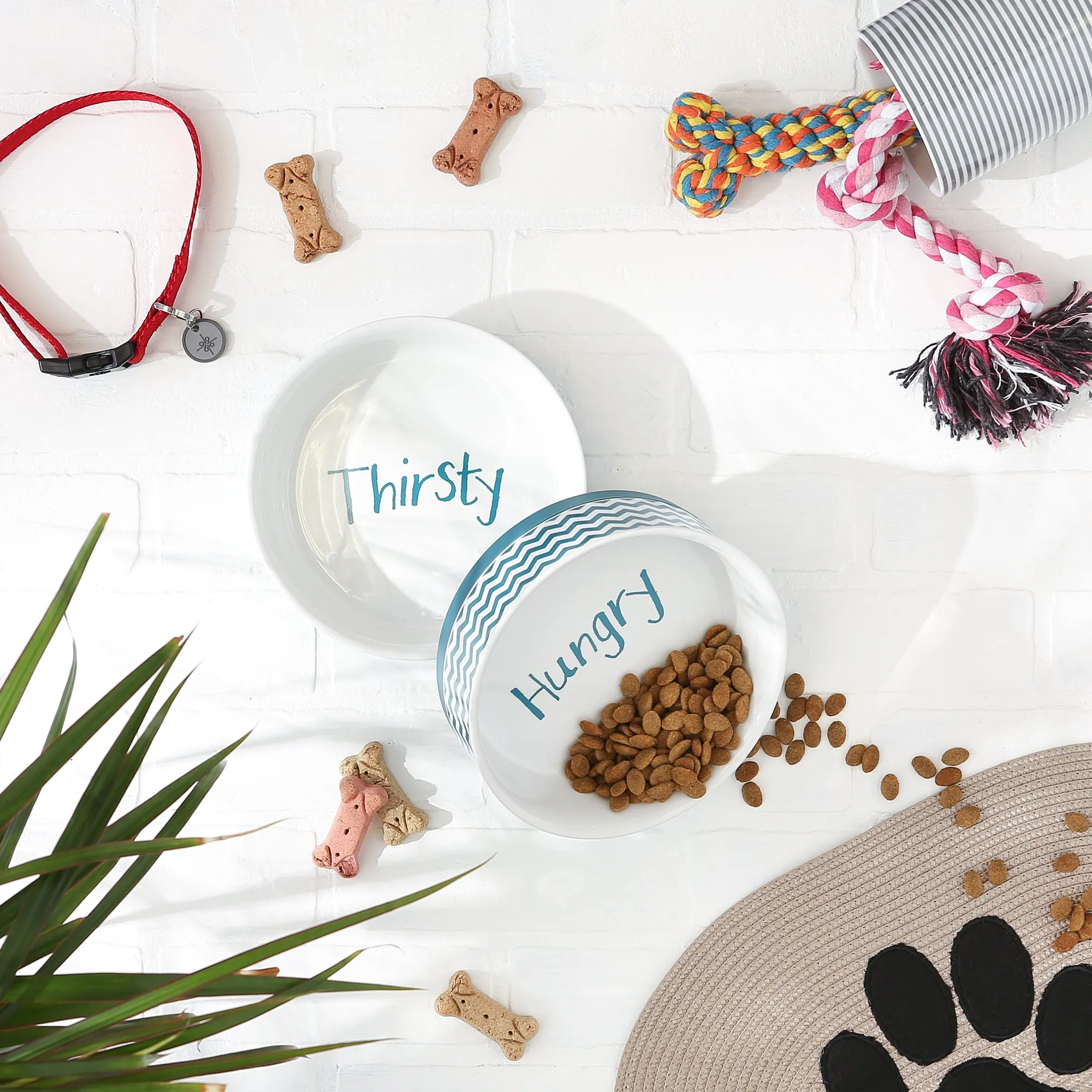 Teal Chevron Pet Bowl Set of 2, Large 3.75 C. Capacity