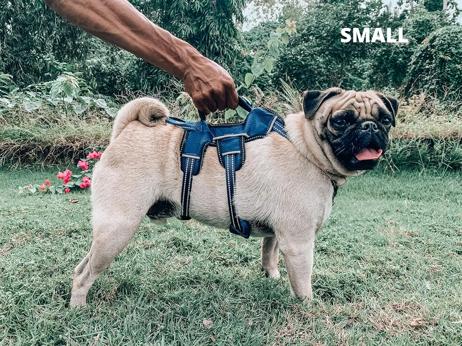 Tuff Pupper Escape Proof No Escape Dog Harness | 5 Point Adjustable Fit Harness for Dogs | Padded Dogs Harnesses | Handle Dog Lift Harnesses