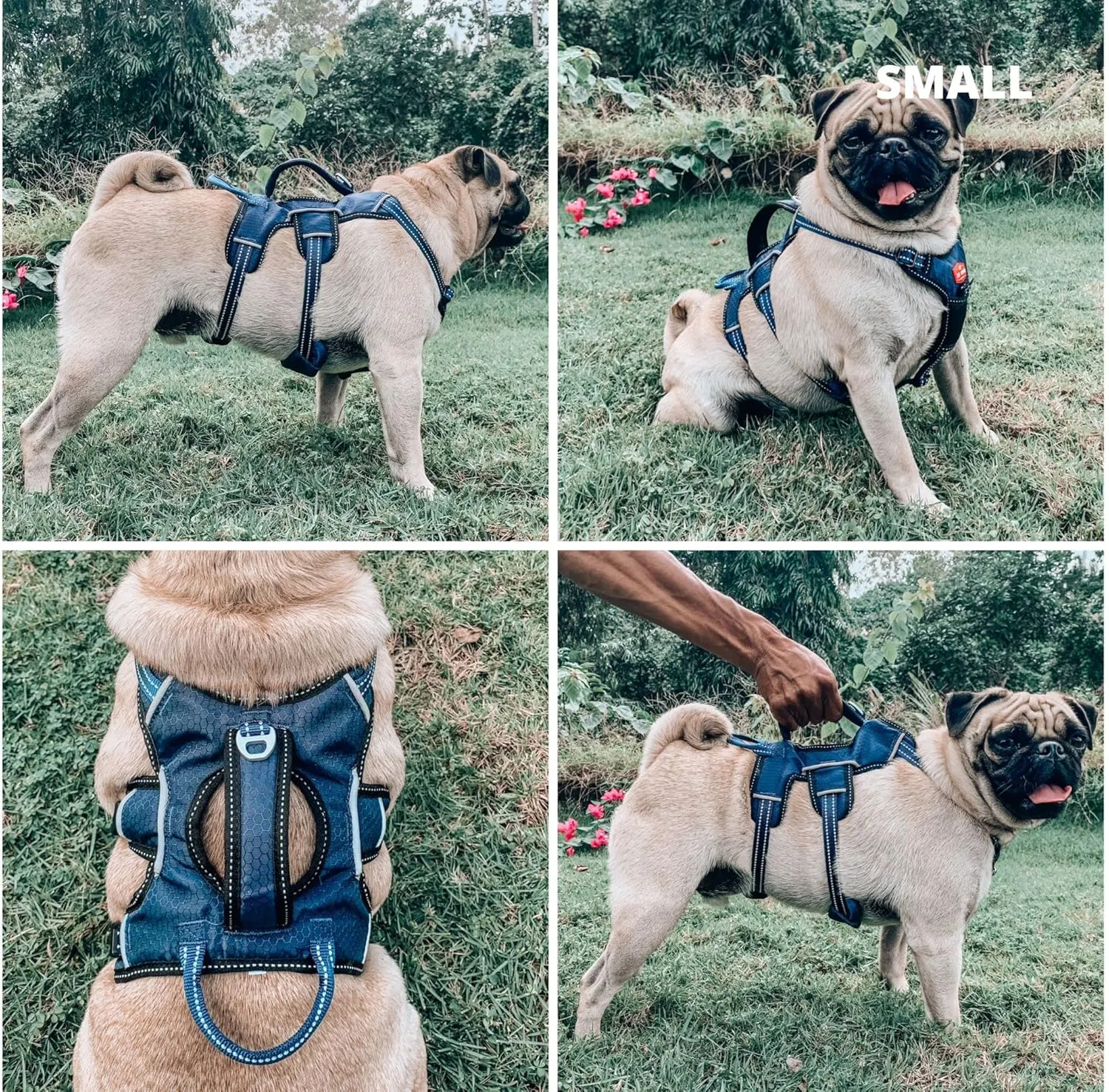 Tuff Pupper Escape Proof No Escape Dog Harness | 5 Point Adjustable Fit Harness for Dogs | Padded Dogs Harnesses | Handle Dog Lift Harnesses
